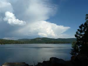 Jackson Meadow